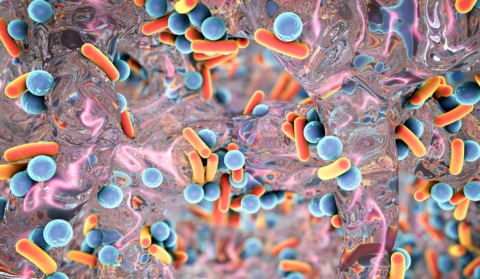 Nieuwsbericht: WAAW’22: Bijzonder Resistente Micro-organismen (BRMO’s) en het belang van informatieoverdracht tussen zorgverleners 